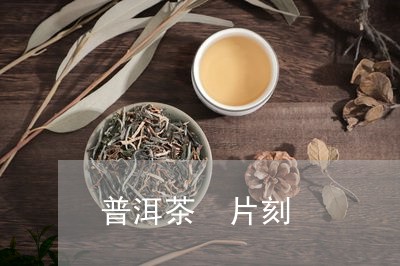 普洱茶 片刻/2023042868872